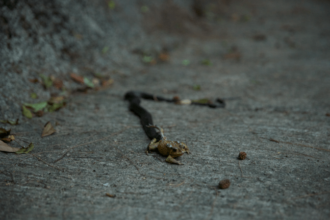 Screen Shot 2014-04-29 at 9.58.17 AM