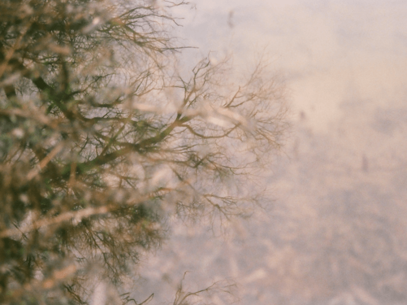 The Train to&nbsp;Szentendre